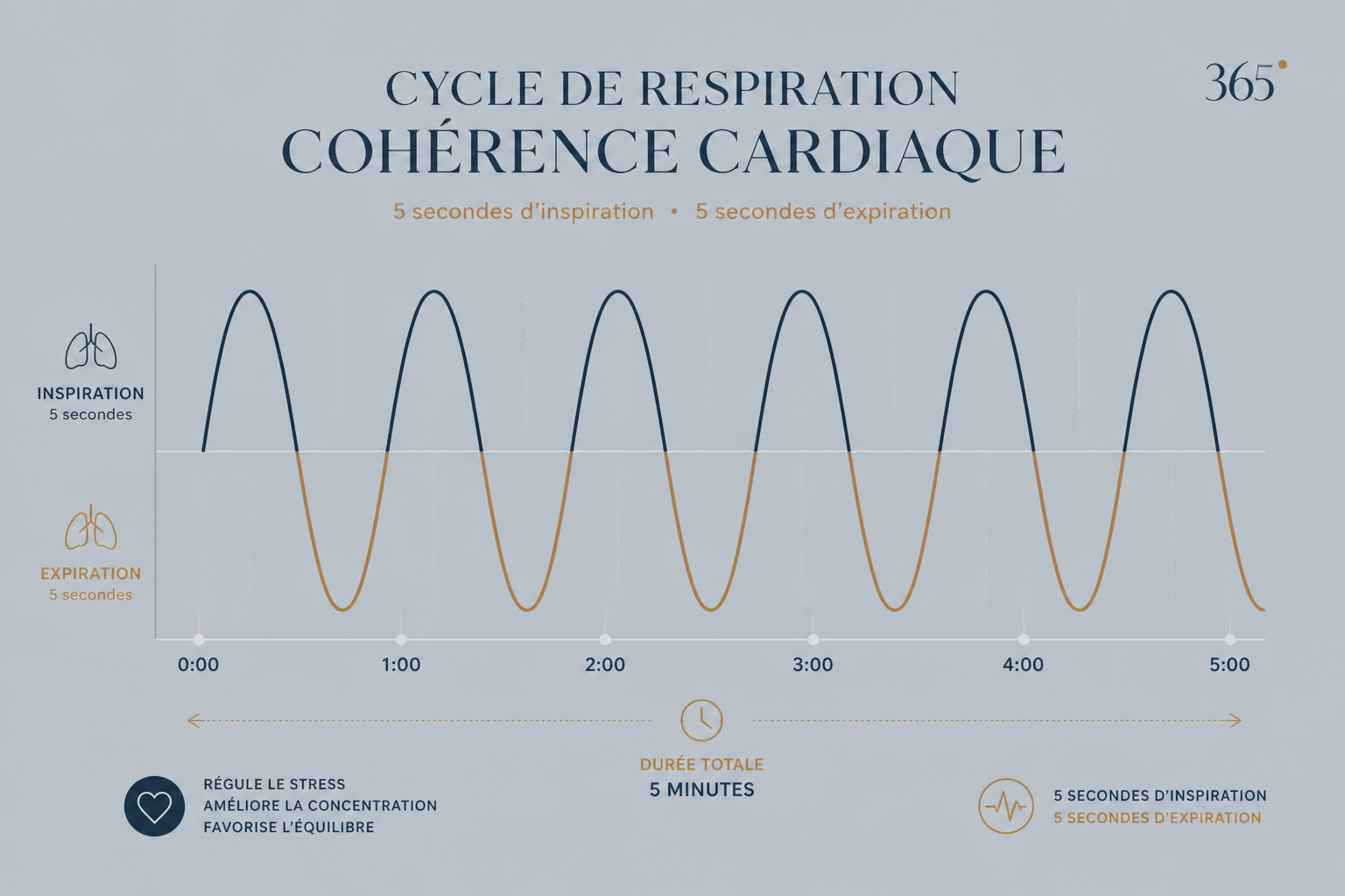Cycle de respiration cohérence cardiaque : 5 secondes inspiration, 5 secondes expiration